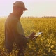 Agronomist Inspecting Canola Field at Sunset - VideoHive Item for Sale