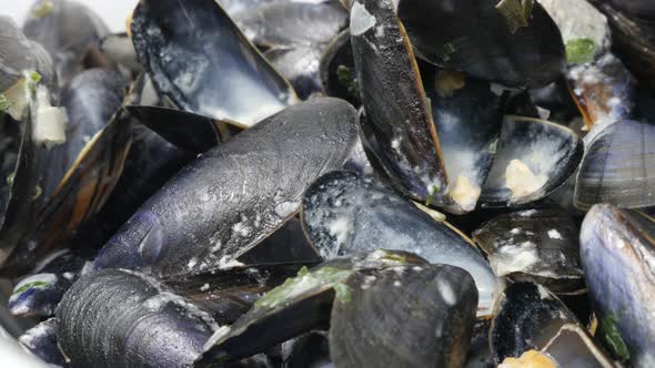 Blue common mussel used and eaten  food background 4K 2160p 30fps UltraHD footage - Shells of Mytilu