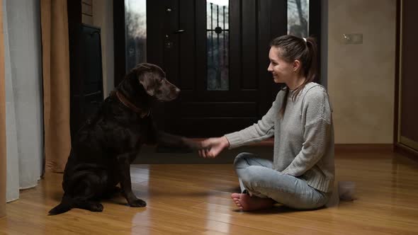 Dog training at home. A young woman asks the dog to obey the command