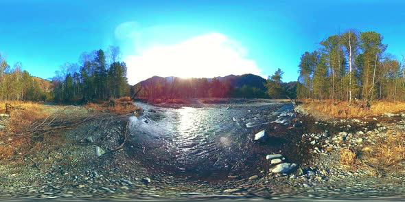 360 VR Virtual Reality of a Wild Mountains Pine Forest and River Flows