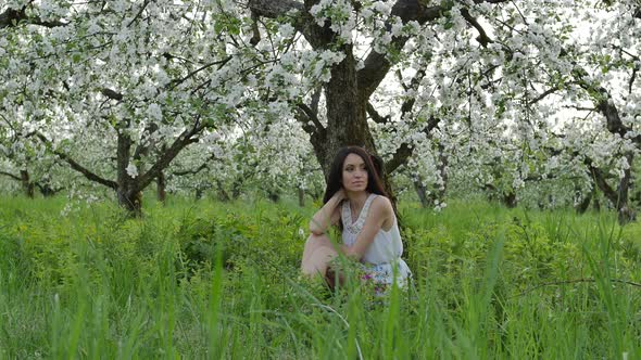 Girl near a blooming apple tree