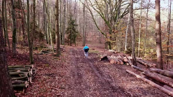 Man Running on a Forest Trail in Autumn Scenery Slowmotion Shot, Jogging in the Woods