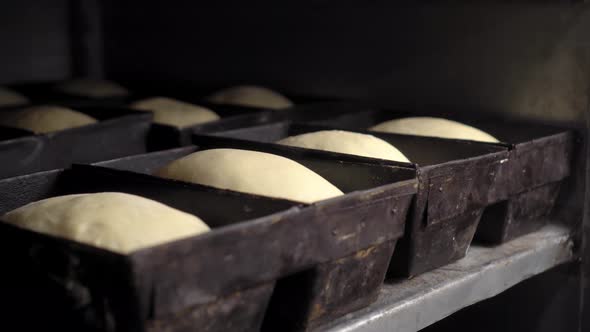 Jars for loaves of raw bread in bakery