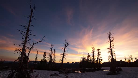 Time lapse of colorful sunset moving through trees