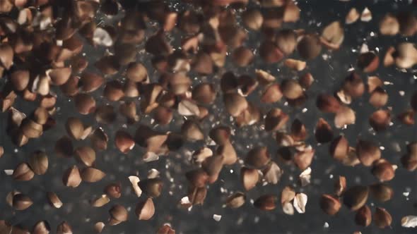 Buckwheat Flies in the Air in Slow Motion