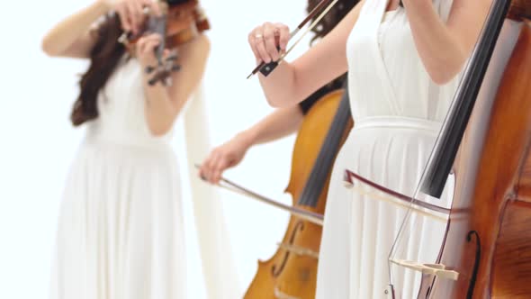 Womens Ensemble Playing the Violins and Cellos at White Background. Close Up of Females Hands and
