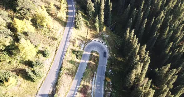 The Car Is Driving on a Road in the Forest