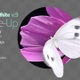 Butterfly Small White 9 - VideoHive Item for Sale