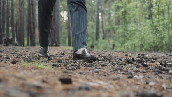 Man in Office Suit and Shoes Kicks Fir Cones in Forest