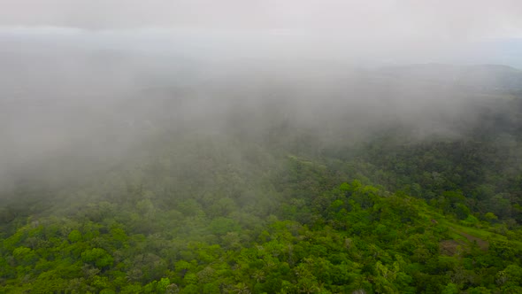 Hills and Mountains with Tropical Vegetation