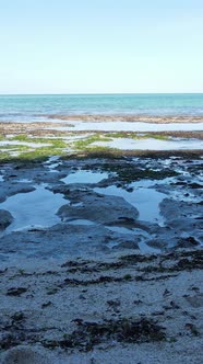 Tanzania  Vertical Video of Low Tide in the Ocean Near the Coast of Zanzibar Slow Motion