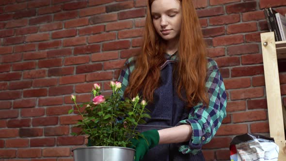 Beautiful Redhead Girl Looking After Flowers