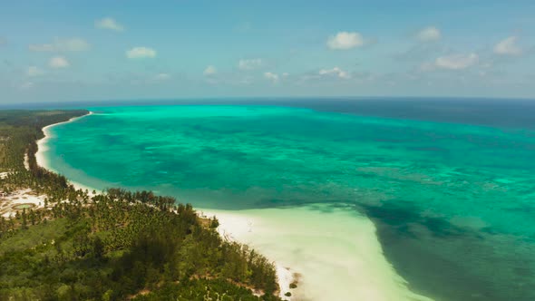 Tropical Island with Sandy Beach