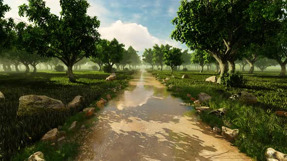 Movement In The Park After Rain alt