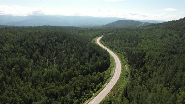 Winding Road in the West Siberian Taiga Ecoregion