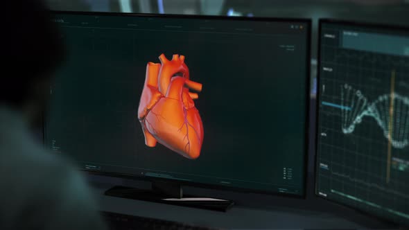 Doctor Uses Modern Software For Organ Examination To Check Heart Of Ill Patient