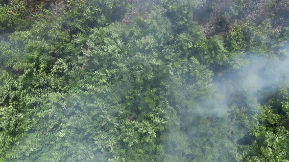 Bush Fire from Above 08