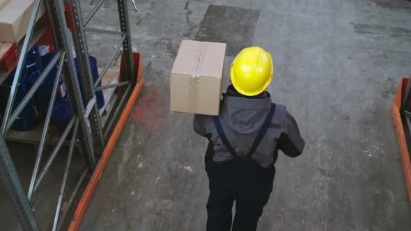 Storehouse Worker Carrying Box