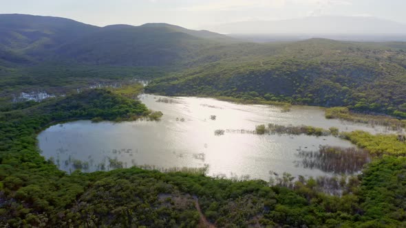 Wide Landscape Aerial View of Shimmering Sunlight Reflecting on Mangrove Forest Wetland Water, Domin