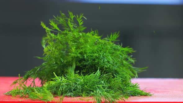 Cutting Fresh Dill alt