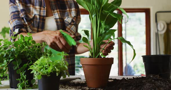 Mid section of woman spraying water on plants at home