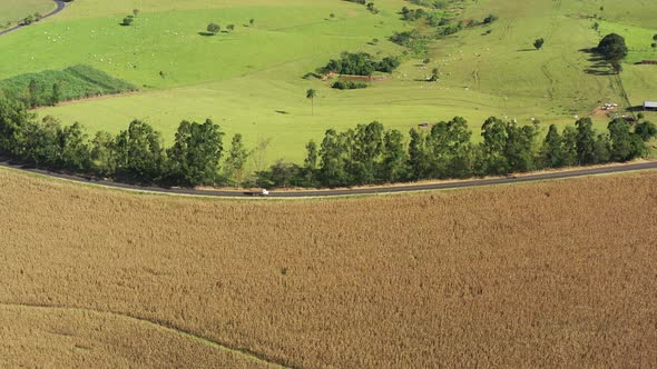 Rural landscape aerial view. Nature scenery