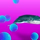Fantasy Whales Ballon 4K - VideoHive Item for Sale