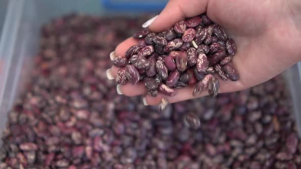 A Woman Is Pouring Red Beans From Her Hand Into a Heap in the Market Close-up. Slow Motion.