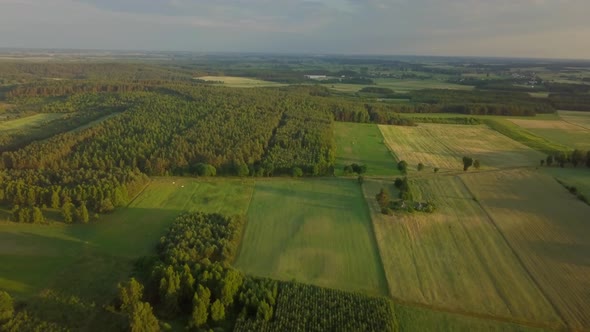 Flight Over Wetlands and Forest