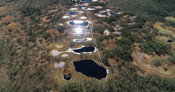 Forest Lakes And Bogs 