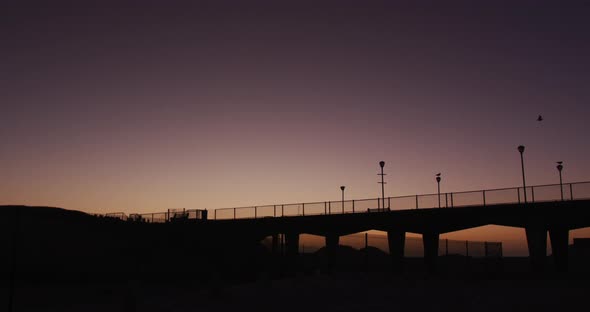 Silhouette of a bird flying over a bridge and street lamps at sunset