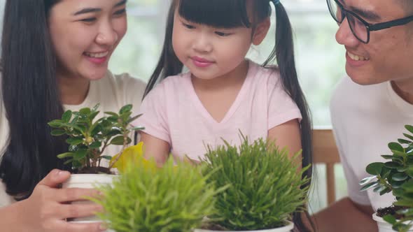 Asian family dad, mom and daughter watering plant in gardening near window at house.