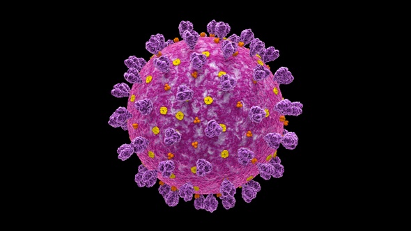 Coronavirus Covid 19 Cell V17