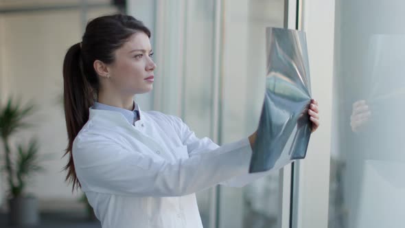 Young female doctor examining x-ray image in the office