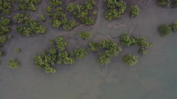 Sunset Dusk over Mangrove Trees, Maitland Lookout, Karratha, Western Australia 4K Aerial Drone