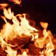 Flames from campfire burning - VideoHive Item for Sale