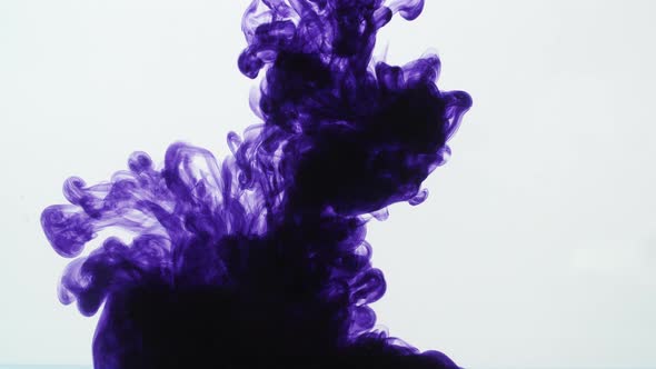 Purple Ink Drop Into Water On A White Background alt