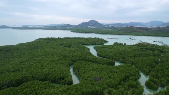 tropical green mangrove river forest in Thailand on cloudy day with mountain on horizon, aerial
