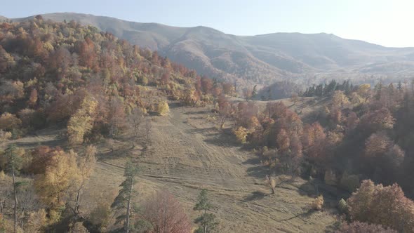 Flying over beautiful mountains in Bakuriani. Aerial view of Autumnal forest. Georgia