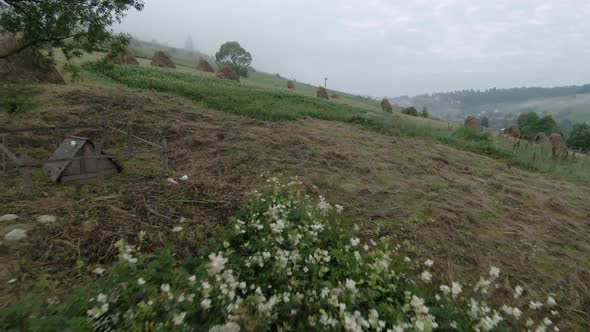 Maneuverable Flight in the Morning Fog Over a Mountain Village Past a Horse and Haystacks on FPV