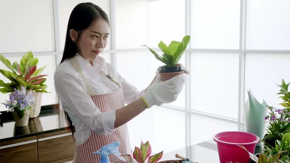 Asian woman enjoys planting trees while relaxing at home.