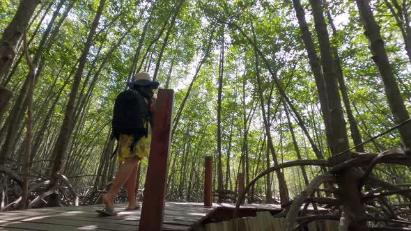 Low angle view of a woman taking a walk through a Mangrove forest. Follow cam behind a person.