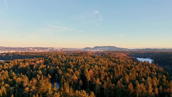 Flight Over Alpine Forest Durring Sunset Among Rural Path