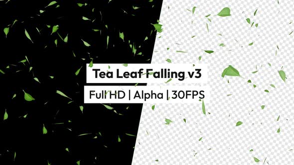 Green Tea Leaf Rain Leaves Falling with Alpha