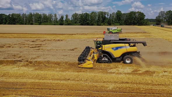 Grain harvesting combine in a sunny day. 