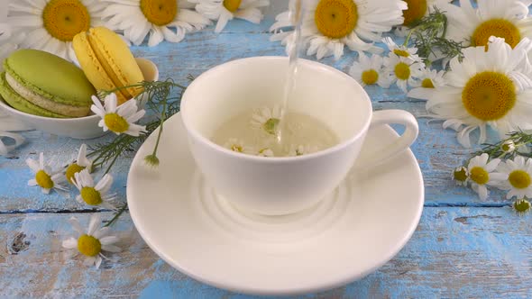 Composition with chamomile flowers, herbal tea and macaroons on vintage light blue wooden tabletop.