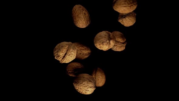 Healthy Walnuts with Shells of Brown Colour Fall Under Light