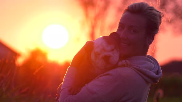 bulldog puppy love in the sunset epic smile in 4k slow motion