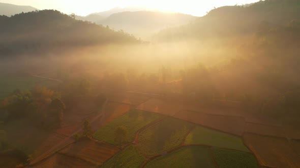 Aerial view from a drone over a misty landscape covers the farmland. 4K