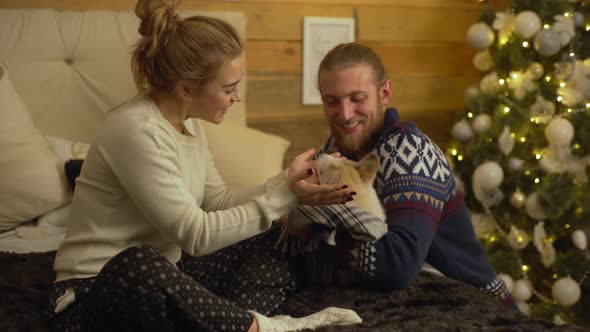 Home Picture of Caucasian Man Making Surprise for Her Girlfriend at New Year Eve Giving Little Husky